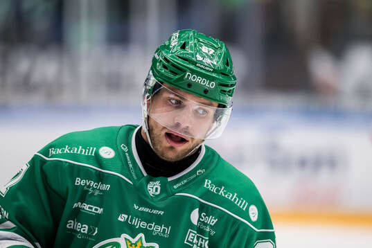 Rögles Leon Bristedt