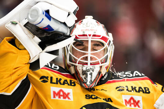 Luleås målvakt Matteus Ward
