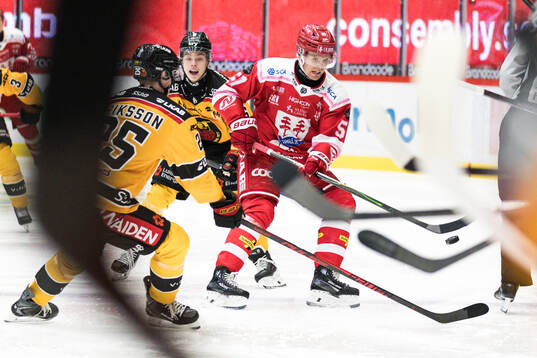 Timrås Anton Wedin