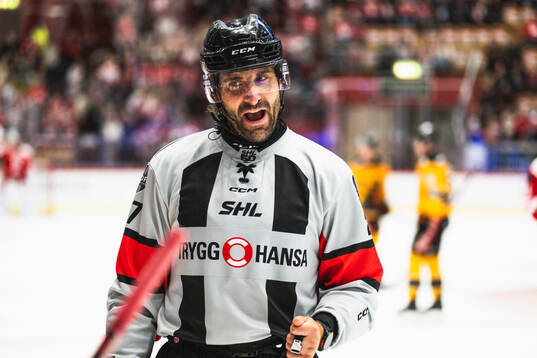 Domare Mikael Sjöqvist