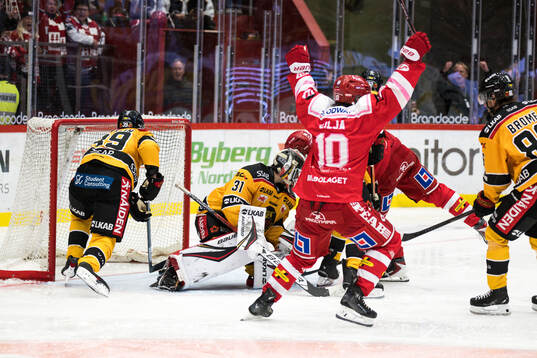Luleås målvakt Matteus Ward och Timrås David Lilja jublar