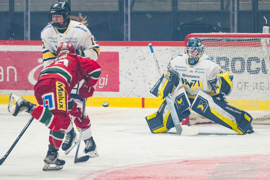 HV71s målvakt Viktorie Svejdova
