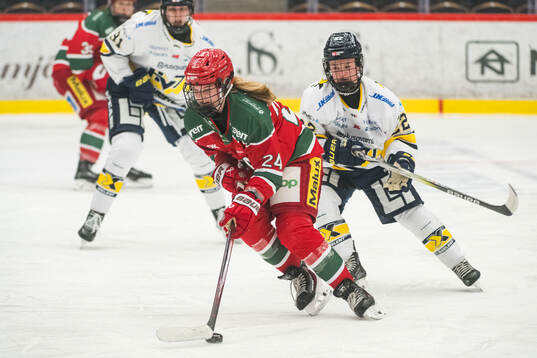 Modos Ebba Hedqvist