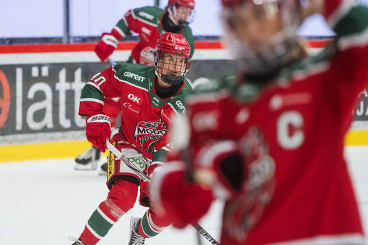 Modos Wilma Sundin