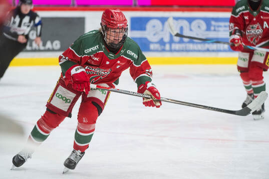 Modos Maja Grundström