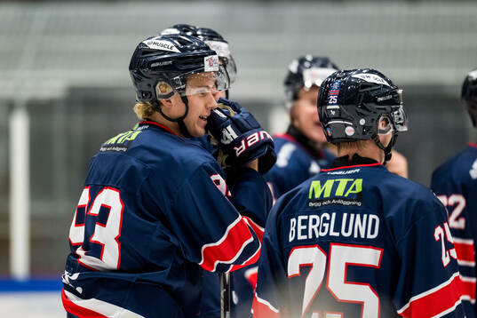 Halmstads Vilmer Hagelin