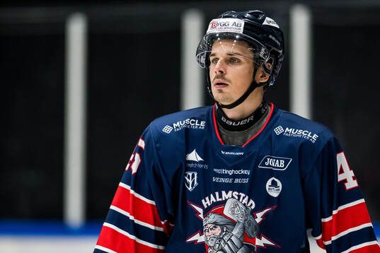 Halmstads William Gustafsson