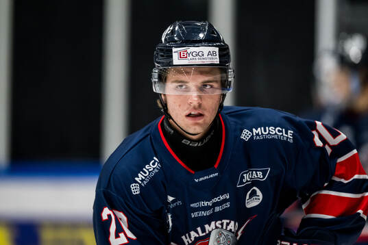 Halmstads Vilmer Stahmann