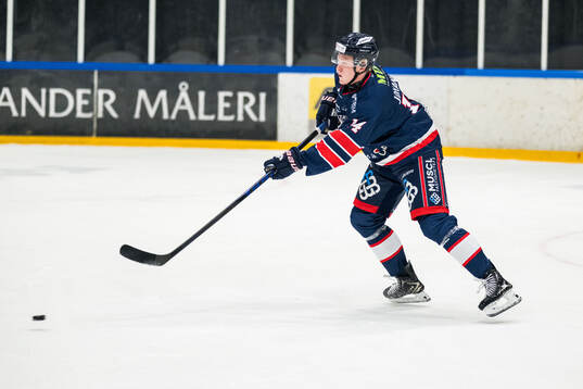 Halmstads Valter Johansson