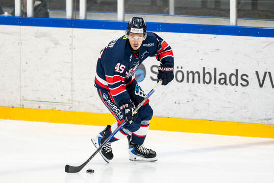 Halmstads William Gustafsson