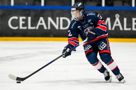 Halmstads Alexander Artursson
