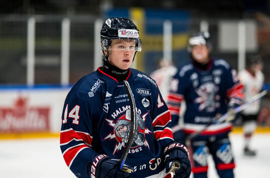 Halmstads Valter Johansson