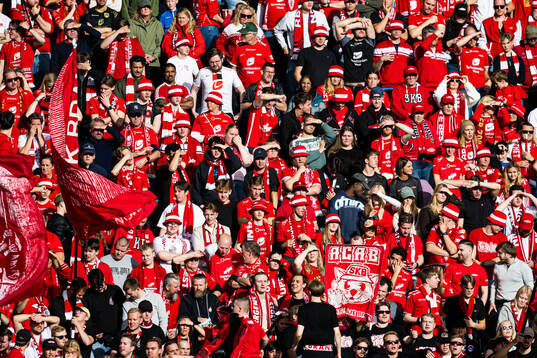 Spectators in the stands
