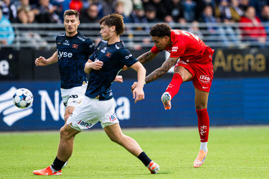 Noah Jean Holm of Brann
