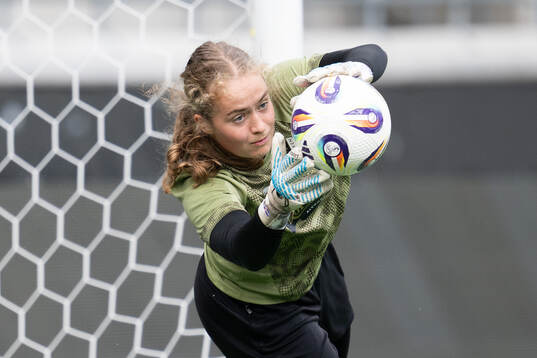 Goalkeeper Fanney Birkisdottir of Häcken