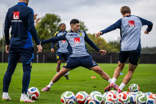 Roony Bardghji of the Swedish national football team