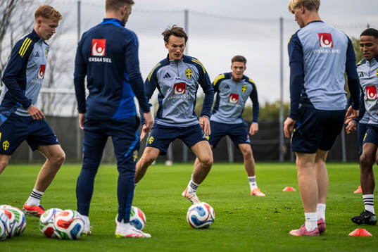 Hjalmar Ekdal of the Swedish national football team