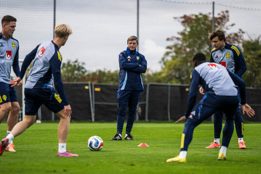 Head coach Jon Dahl Tomasson of the Swedish national