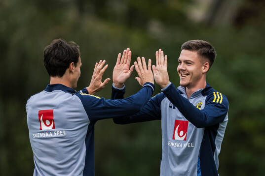 Hjalmar Ekdal and Emil Holm of the Swedish national