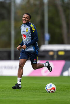 Niclas Eliasson of the Swedish national football team