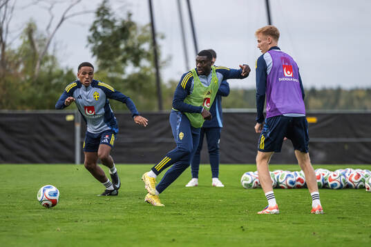 Niclas Eliasson, Ken Sema and Hugo Larsson of the Swedish