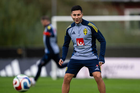 Roony Bardghji of the Swedish national football team