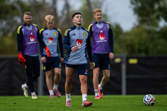 Roony Bardghji of the Swedish national football team