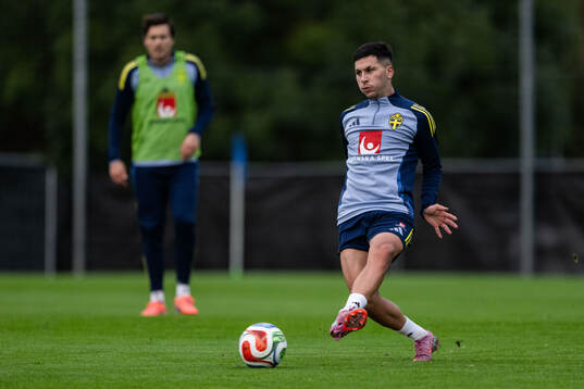 Roony Bardghji of the Swedish national football team