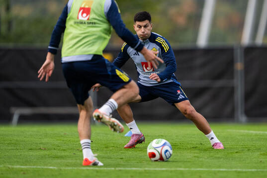 Roony Bardghji of the Swedish national football team