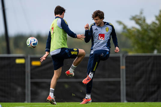 Hjalmar Ekdal and Victor Nilsson Lindelöf of the Swedish