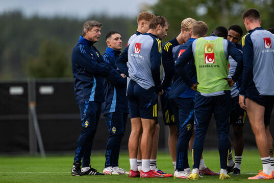 Head coach Jon Dahl Tomasson of the Swedish national