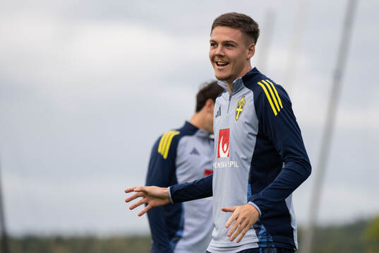 Emil Holm of the Swedish national football team