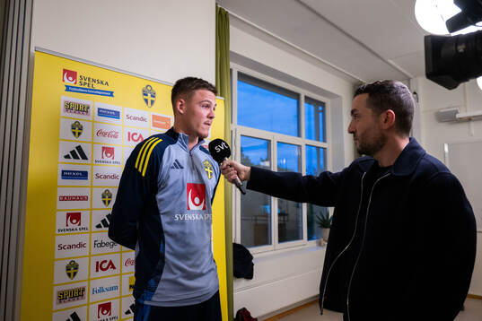 Emil Holm of the Swedish national football team in mixed