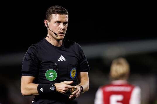 Domare Erik Mattsson
