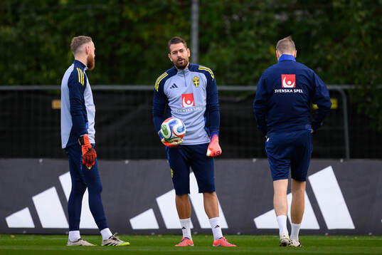Goalkeepers Viktor Johansson and Kristoffer Nordfeldt of