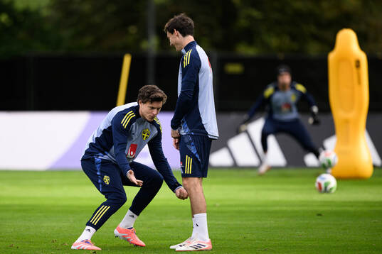 Victor Nilsson Lindelöf and Hjalmar Ekdal of the Swedish