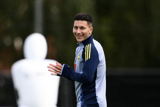 Roony Bardghji of the Swedish men's national football team