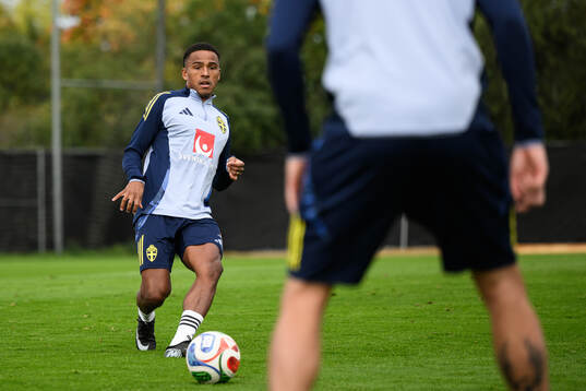 Niclas Eliasson of the Swedish men's national football team