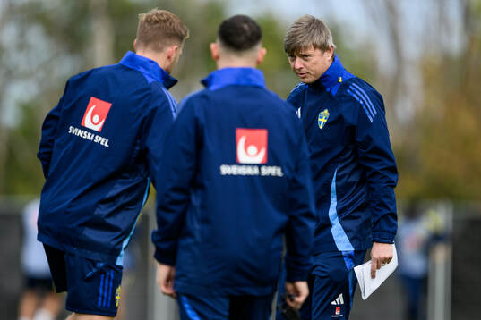 Head coach Jon Dahl Tomasson of the Swedish men's national