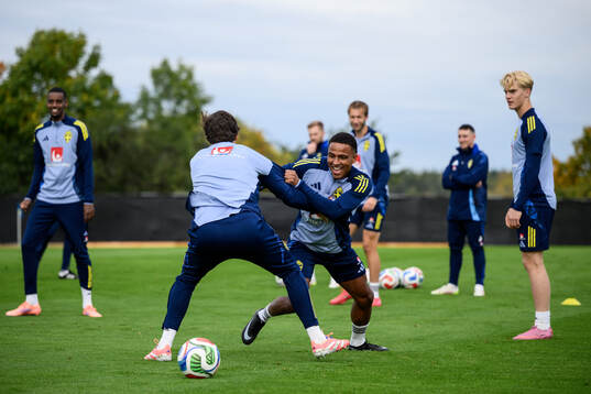 Niclas Eliasson of the Swedish men's national football team
