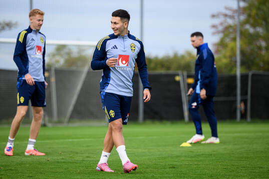 Roony Bardghji of the Swedish men's national football team