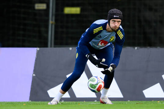 goalkeeper Noel Törnqvist of the Swedish men's national