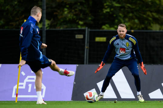 goalkeeper Viktor Johansson of the Swedish men's national