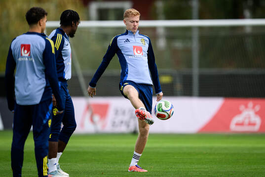 Hugo Larsson of the Swedish men's national football team