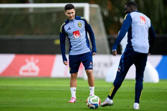 Roony Bardghji of the Swedish men's national football team