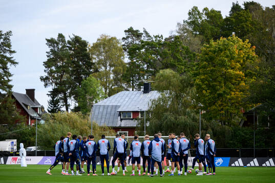 Players of the Swedish men's national football team