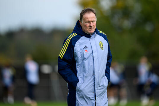 Assistant coach Remy Reijnierse of the Swedish men's