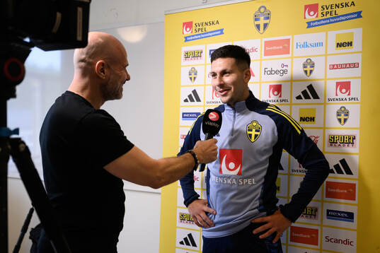 Roony Bardghji of the Swedish men's national football team