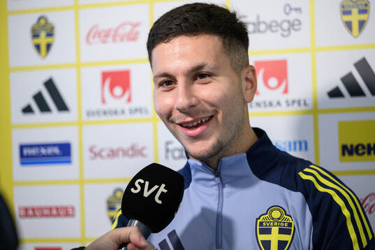 Roony Bardghji of the Swedish men's national football team