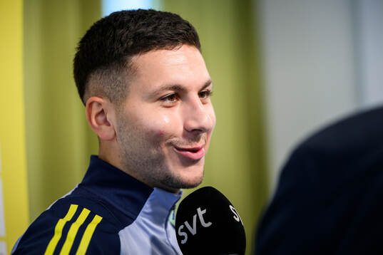 Roony Bardghji of the Swedish men's national football team